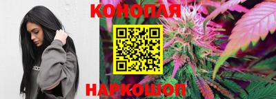 винт Котовск