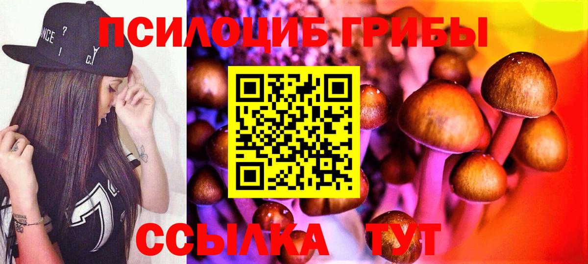 Галлюциногенные грибы мицелий  Вход с VPN  Иваново 